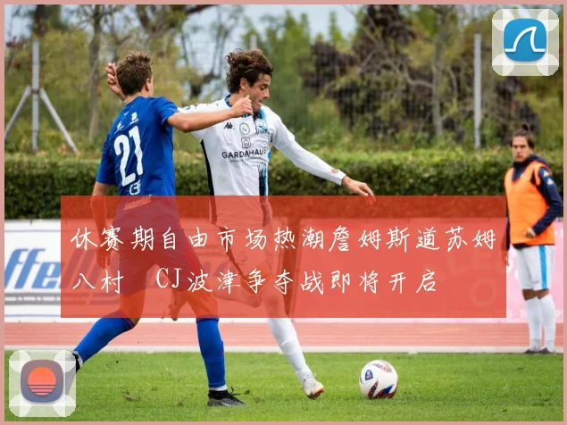 休赛期自由市场热潮詹姆斯道苏姆八村塁CJ波津争夺战即将开启