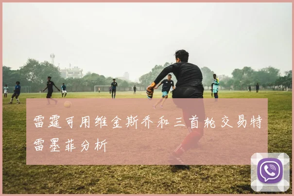 雷霆可用维金斯乔和三首轮交易特雷墨菲分析